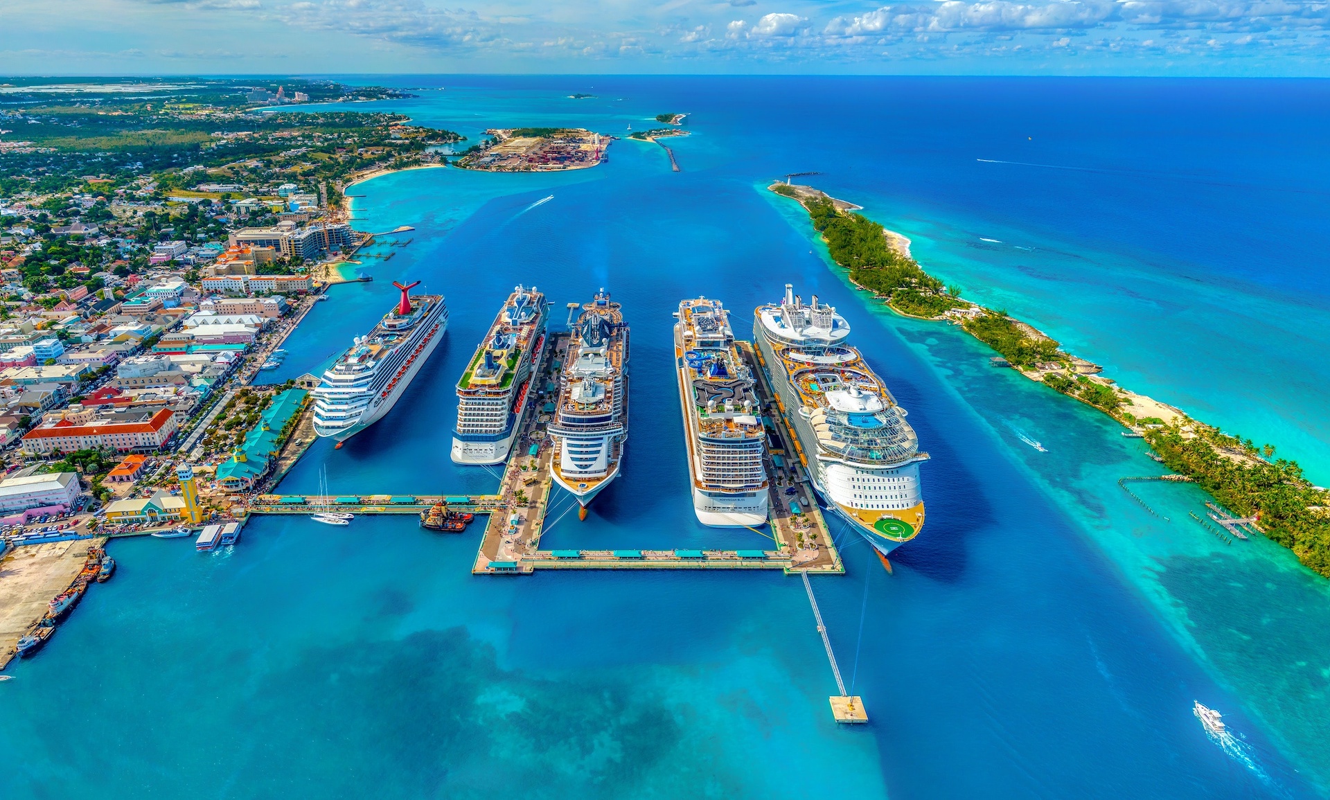 Image description: Five large cruise ships docked in a deep water port beside the blue expanse of the ocean and a port-side town. End of alt text.
