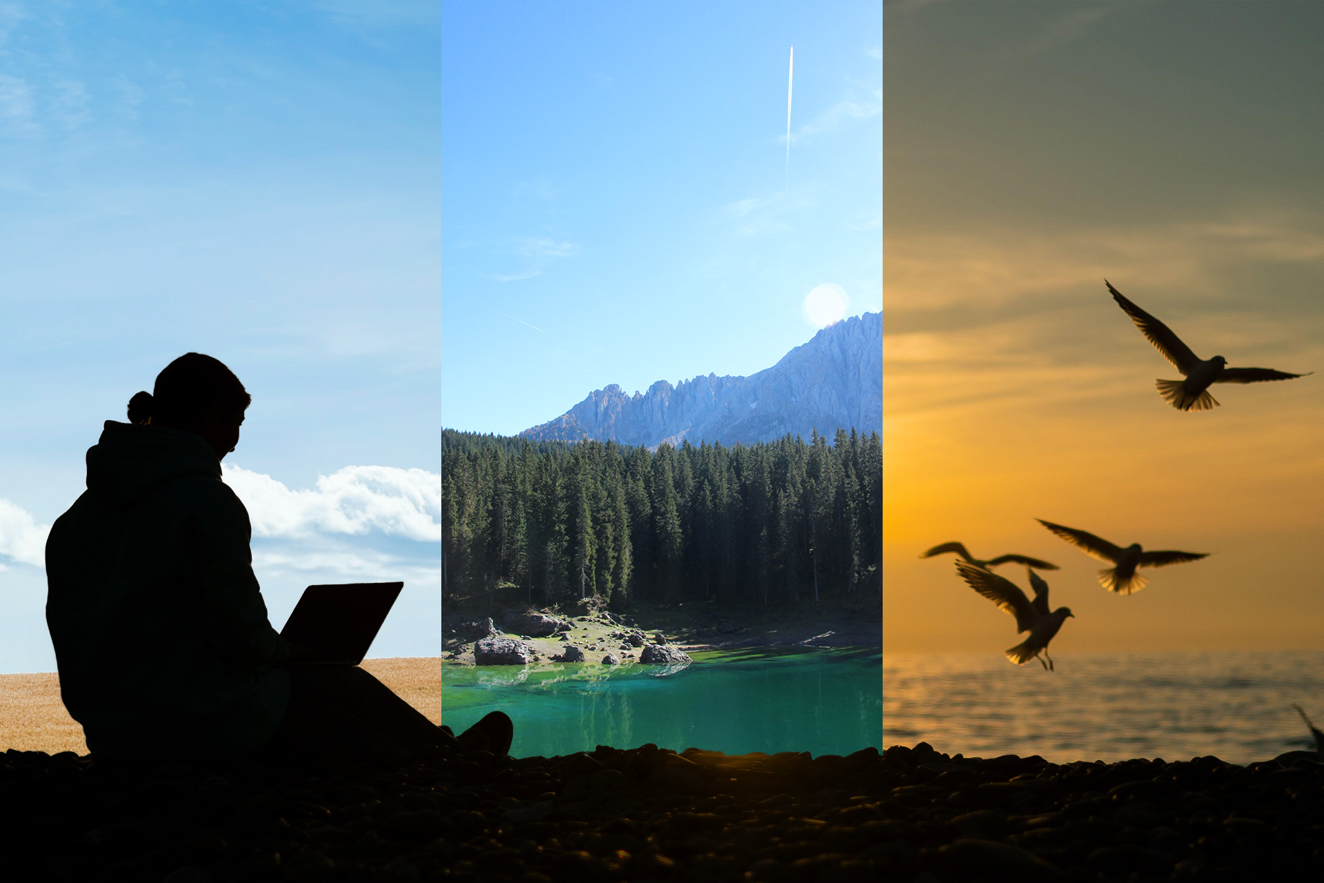 Image description: The silhouette of a person on their laptop is layered in front of a nature triptych – a field, a lake surrounded by forest, and a beach with seabirds. End of alt text.